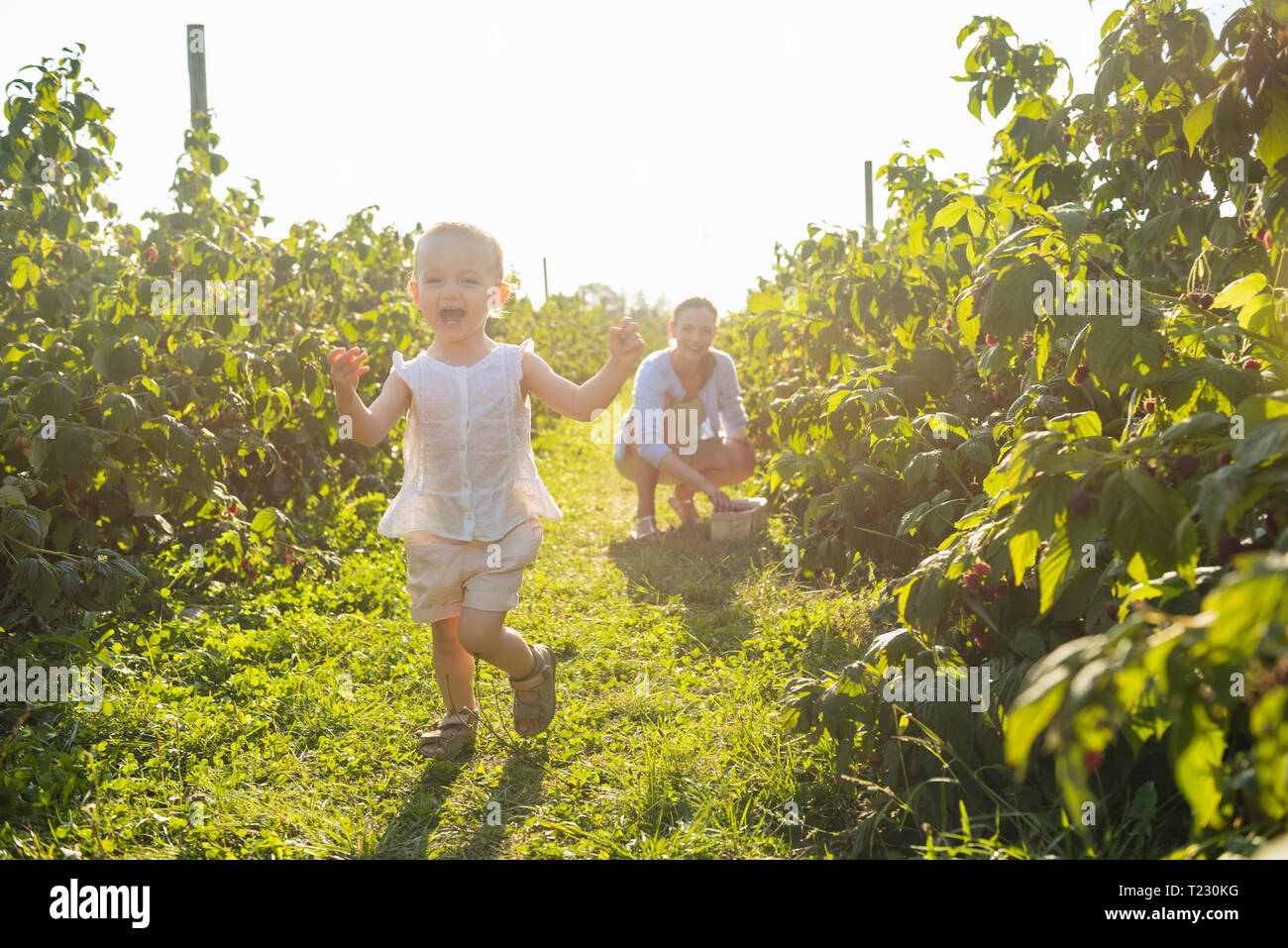 Mère et fille cueillir des baies en été Banque D'Images