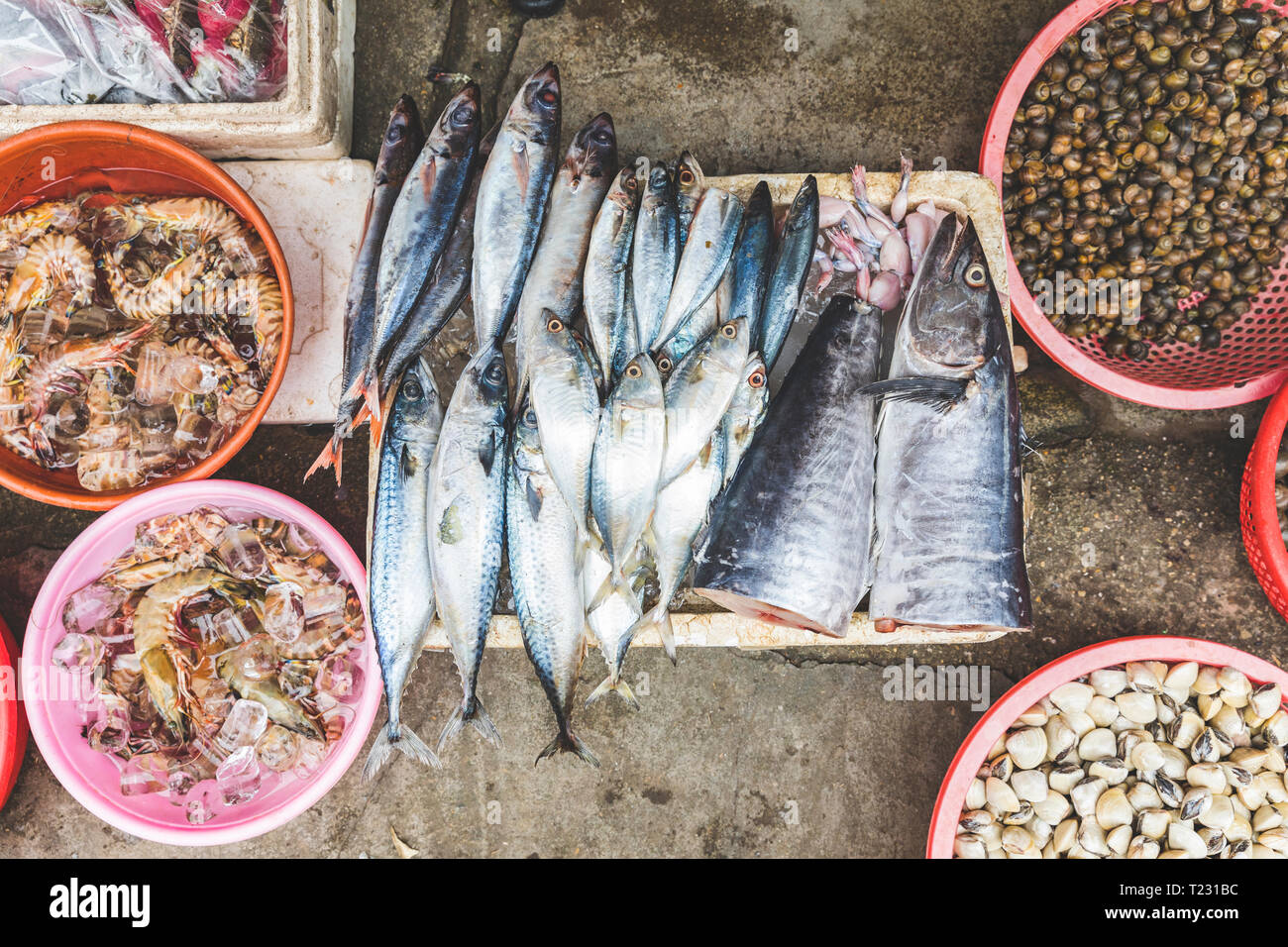 Vietnam, Hanoi, poissons et fruits de mer en vente au marché local de la vieille ville Banque D'Images