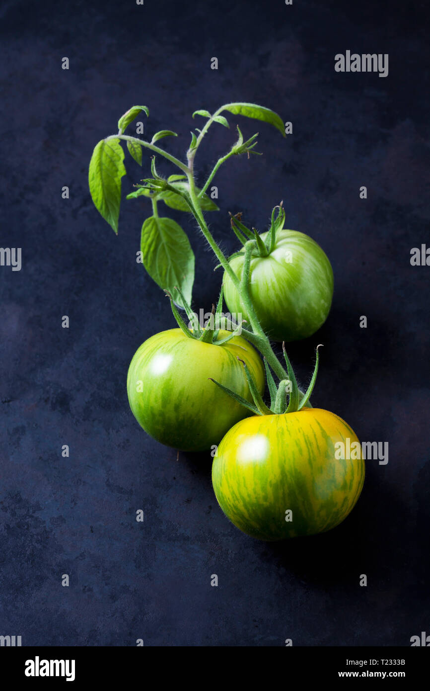 Trois tomates 'Green Zebra' sur la masse sombre Banque D'Images