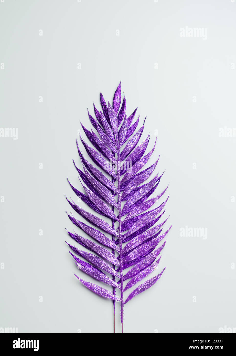 Feuilles pourpre peintures décoratives Banque D'Images