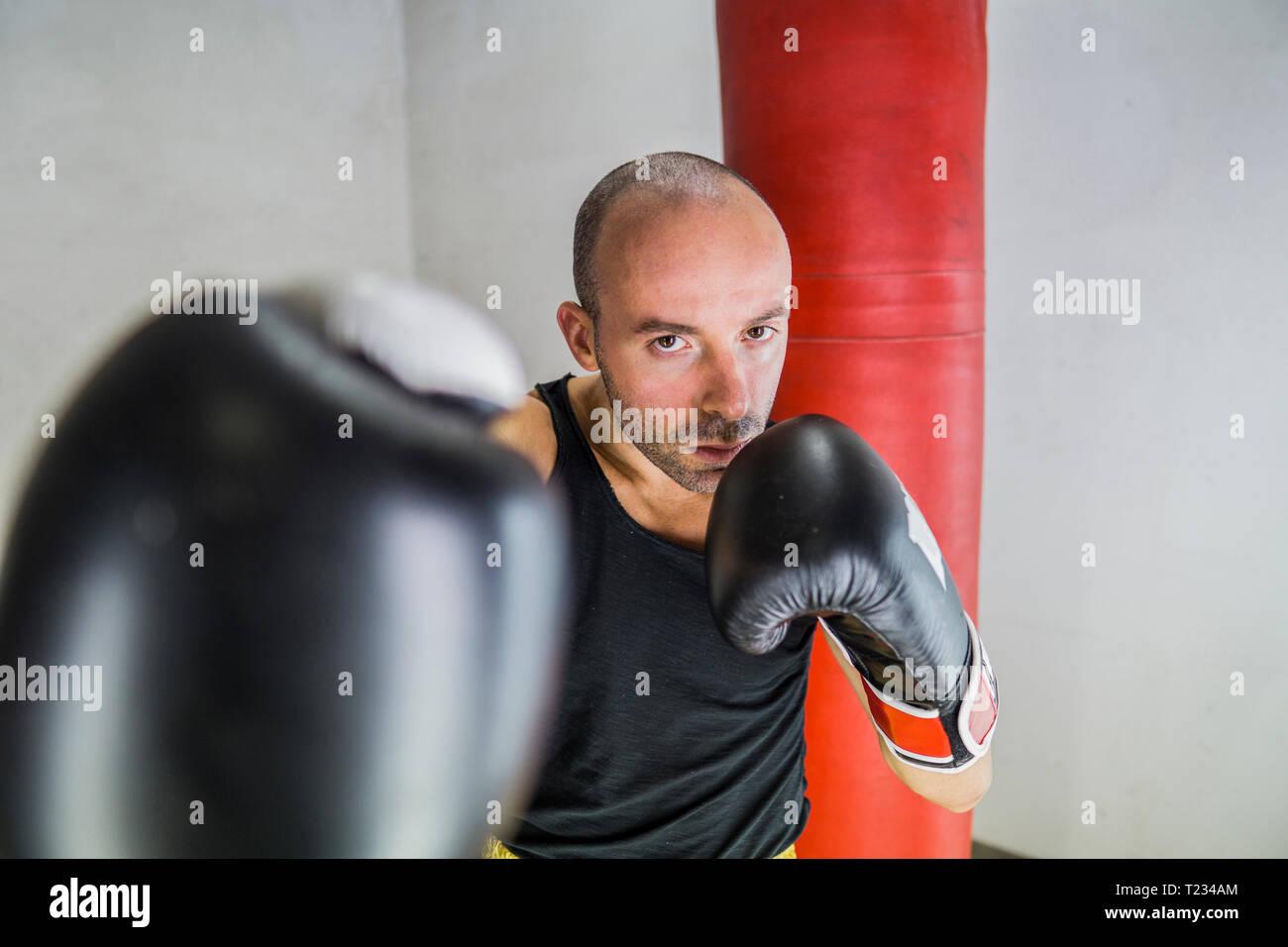 Portrait de boxer boxing in gym Banque D'Images