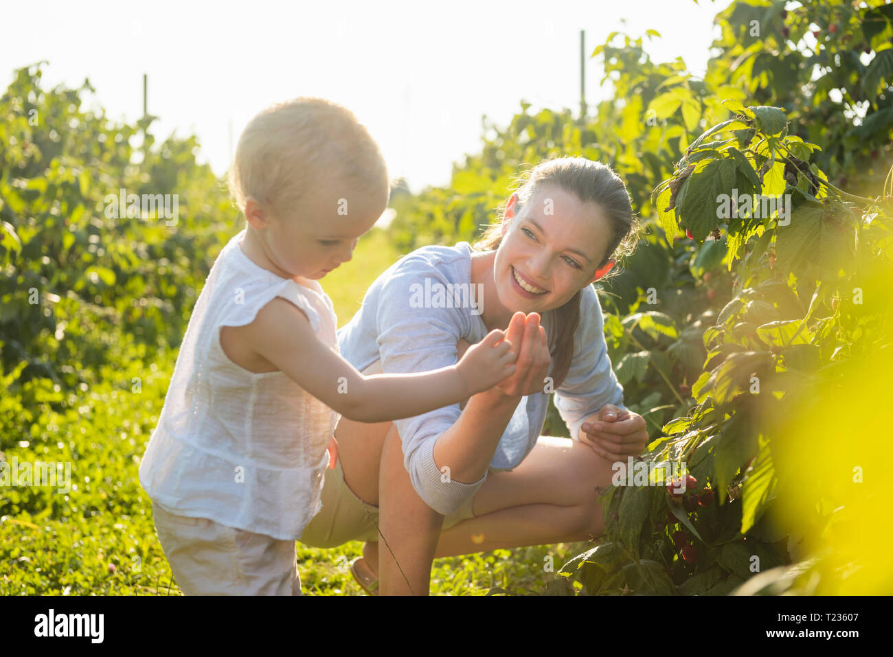 Mère et fille cueillir des baies ensemble en été Banque D'Images