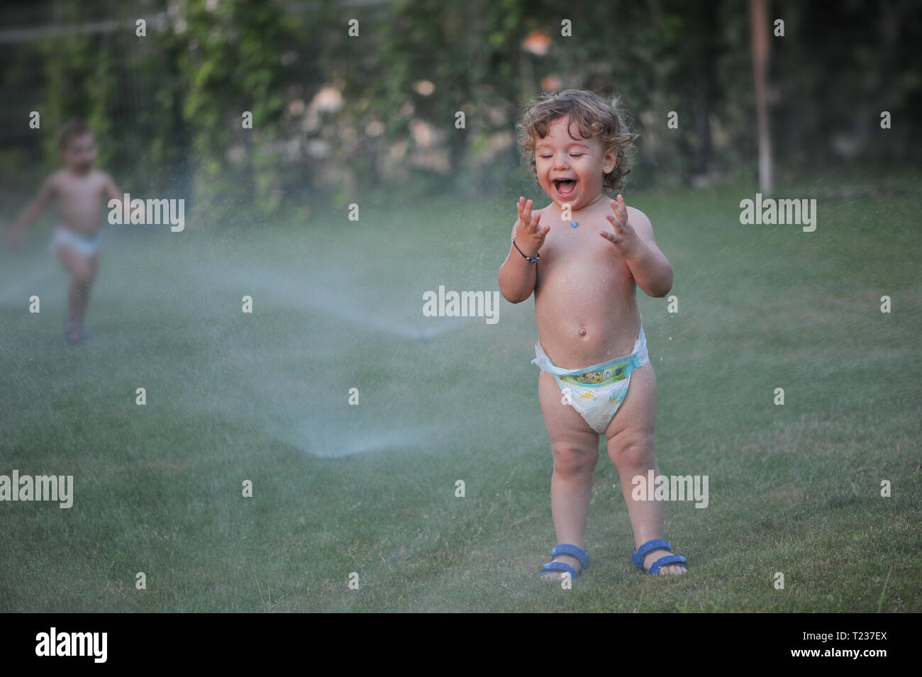 Bébé se mettre à l'eau sur un jardin en été Banque D'Images