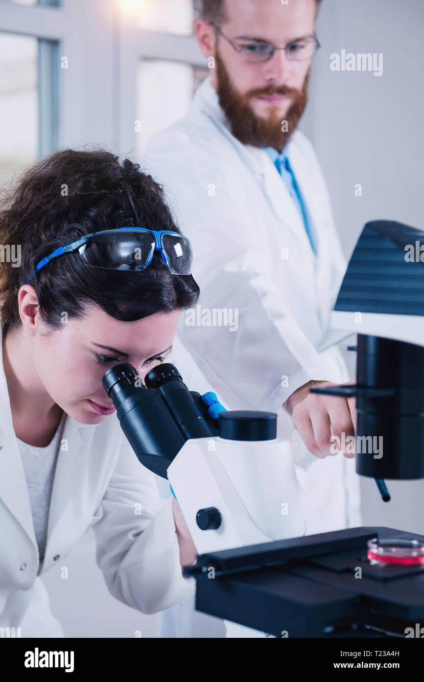 Young female scientist faire tester en laboratoire, libre de prendre des notes. Banque D'Images