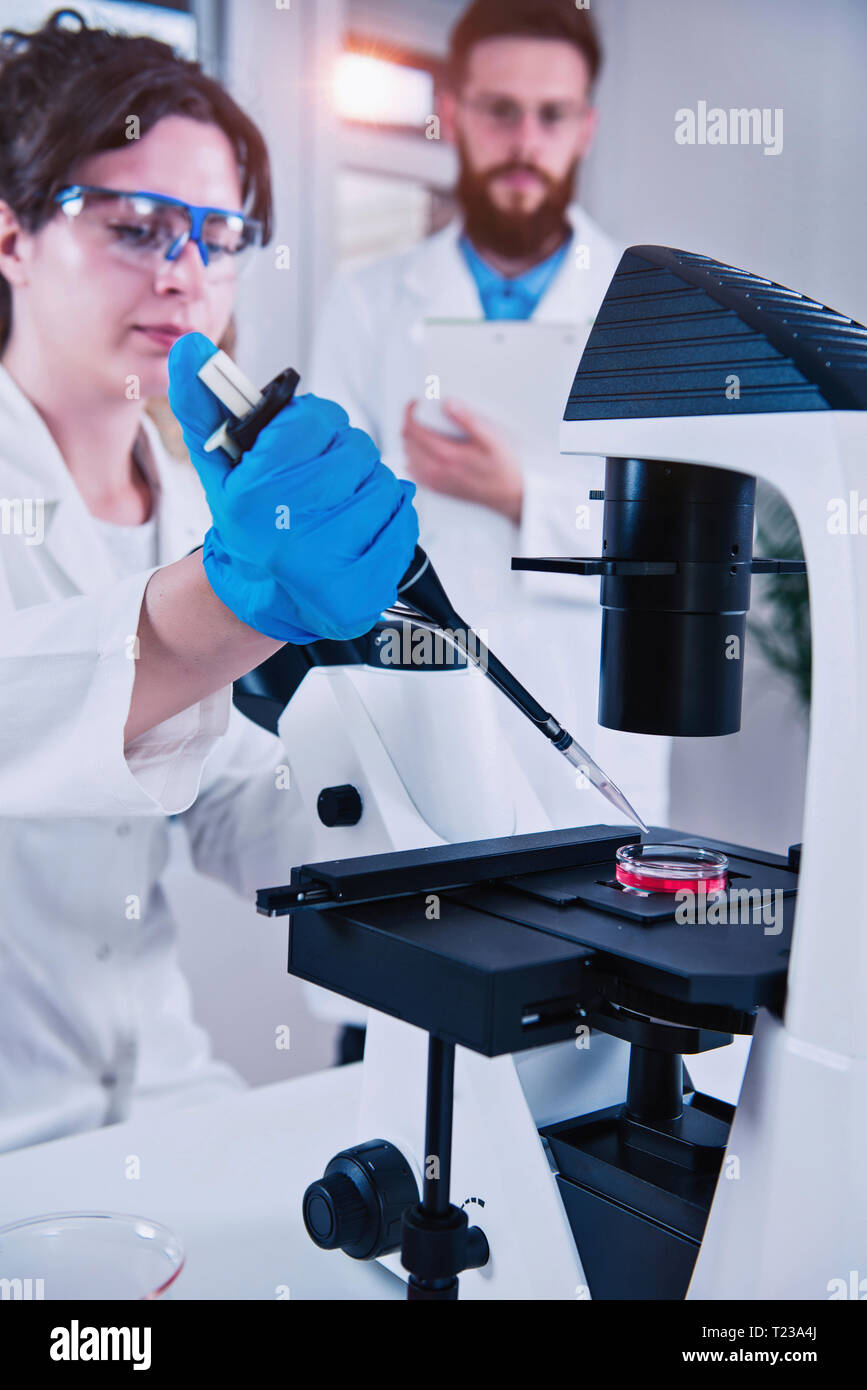 Young female scientist faire tester en laboratoire, libre de prendre des notes. Banque D'Images