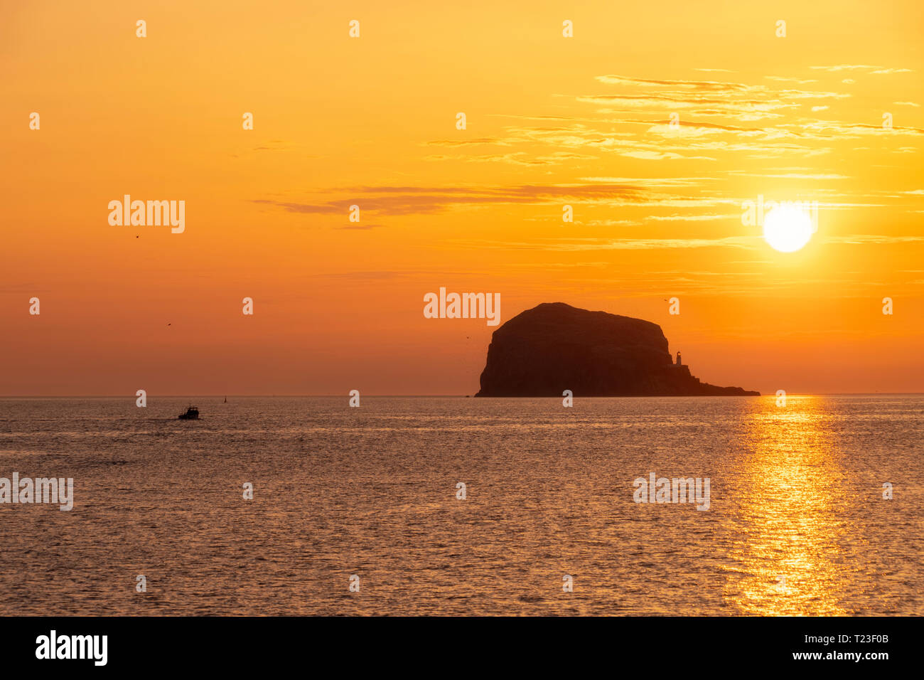 Grande Bretagne, Ecosse, East Lothian, North Berwick, Firth of Forth, vue de Bass Rock au lever du soleil, le phare Banque D'Images