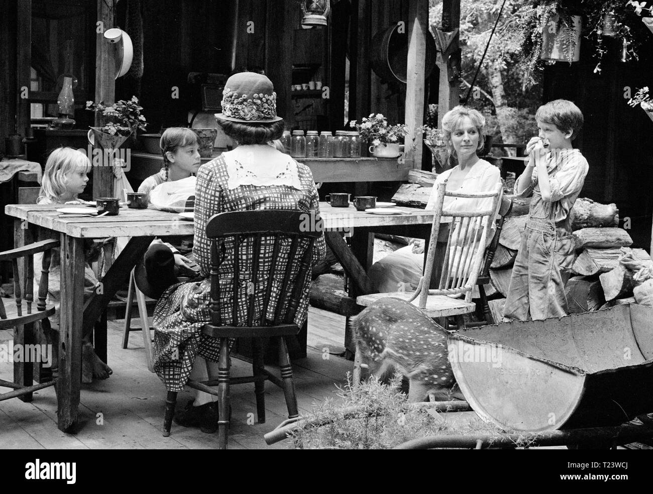 Cross Creek (1983) Nora Rogers, Dana Hill, Mary Steenburgen, Cary Guffey, Joanna Miles, Date : 1983 Banque D'Images