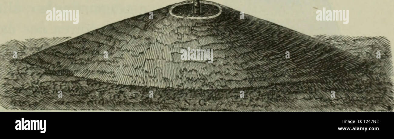 Image d'archive à partir de la page 330 de Die Veredelungen und ihre Anwendung Banque D'Images