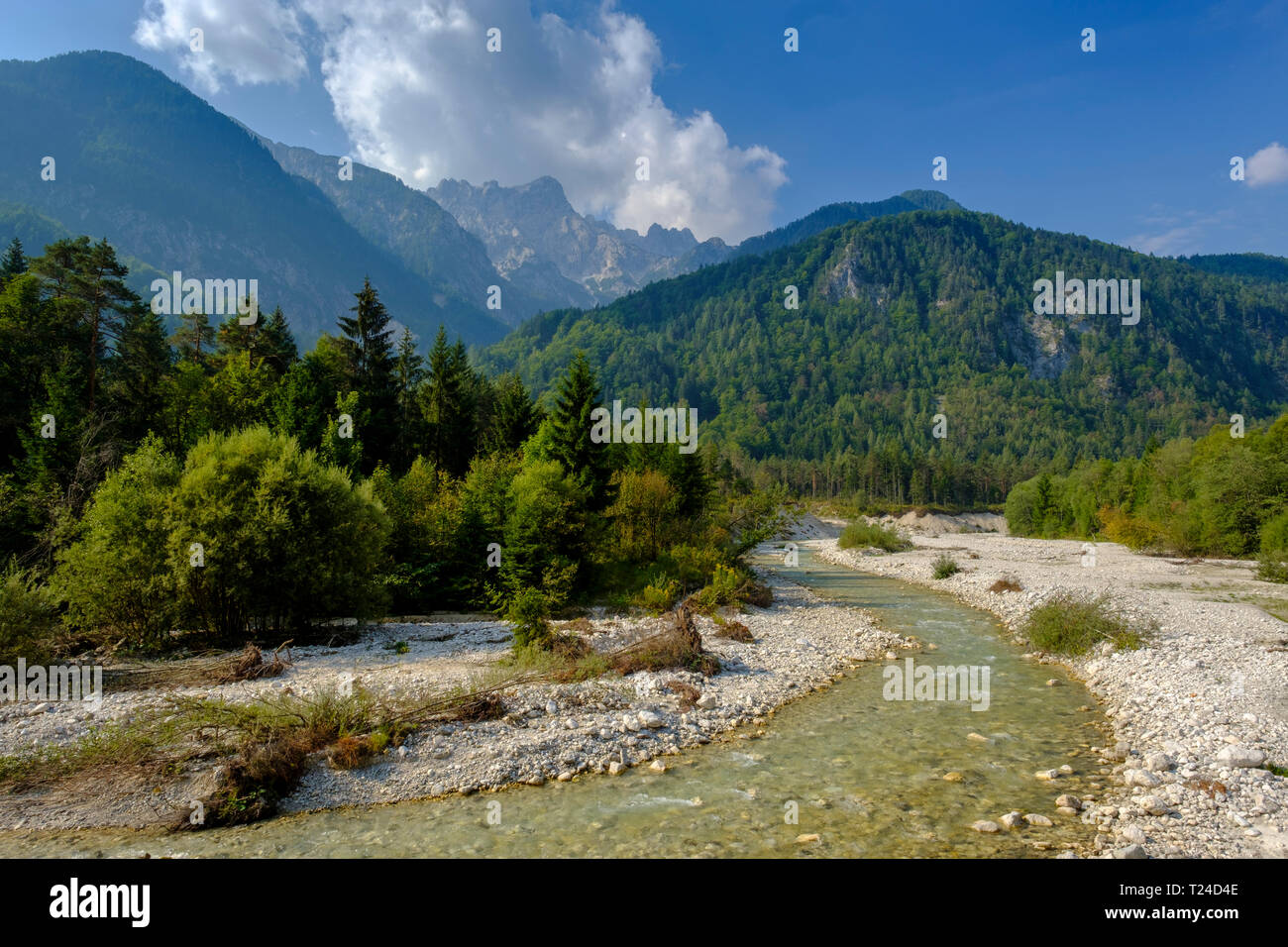 La Slovénie, Gorenjska, parc national du Triglav, Sava Dolinka amont, Banque D'Images