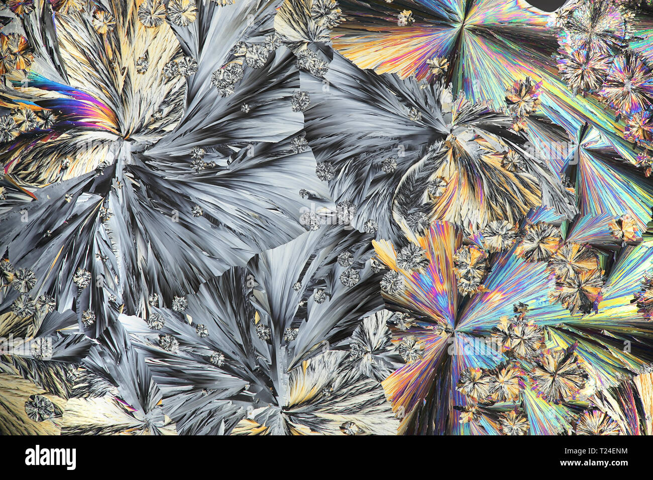 Les cristaux de conservation alimentaire appelé l'acide citrique, de l'image du microscope photographié en contre-lumière polarisée Banque D'Images