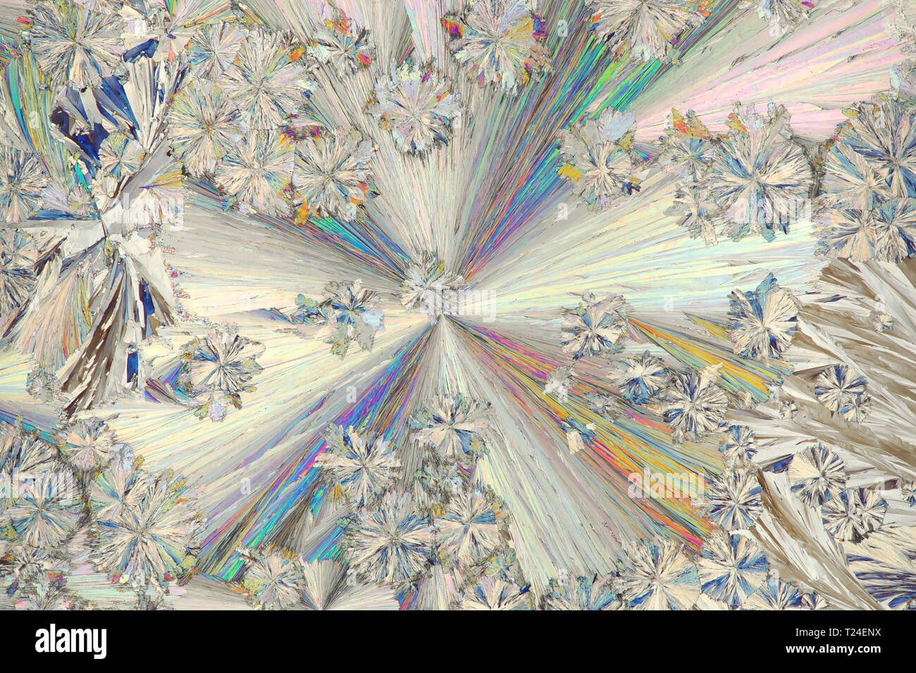 Les cristaux de conservation alimentaire appelé l'acide citrique, de l'image du microscope photographié en contre-lumière polarisée Banque D'Images