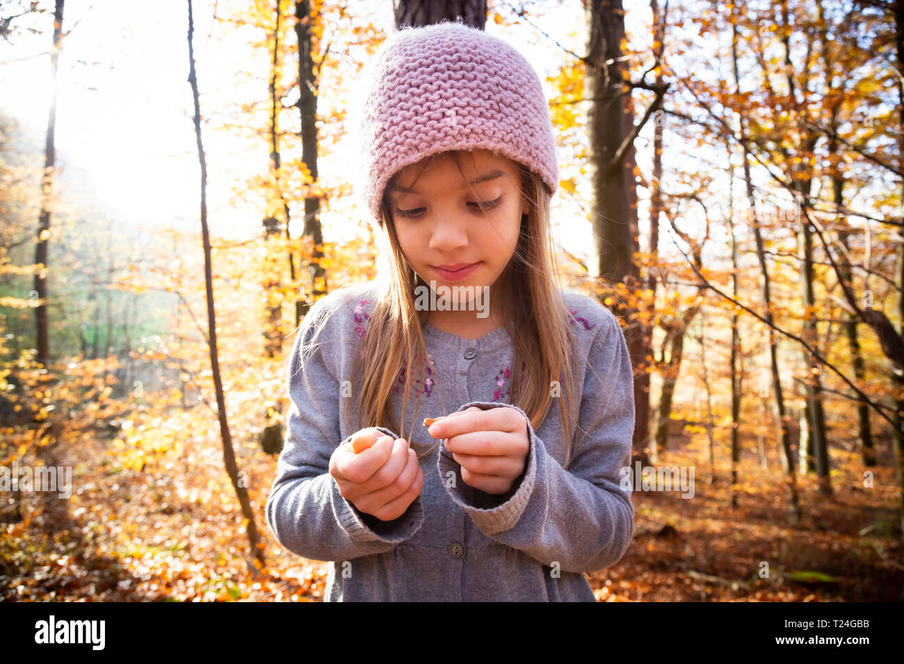 Jeune fille avec des écrous à l'hêtre Forêt d'automne Banque D'Images