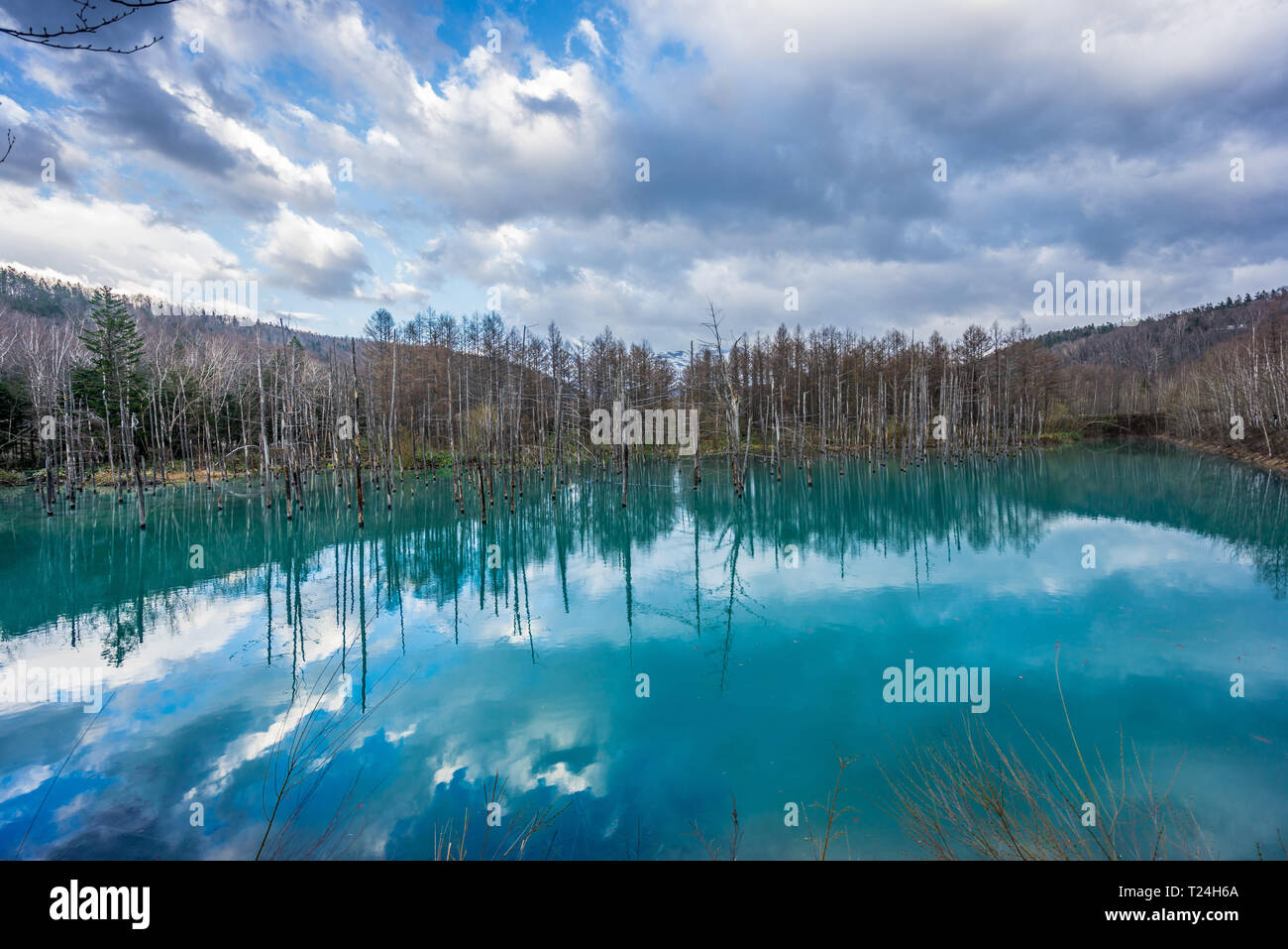 Reflets dans le ciel du Bassin Bleu Shirogane (Aoi-ike) situé dans le district de Biei, Kamikawa, Hokkaido Prefecture, Japan. Banque D'Images