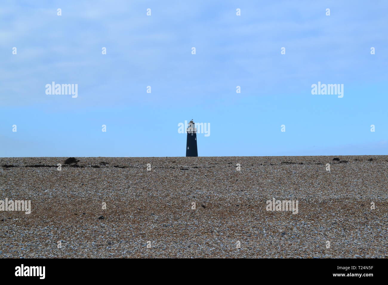 Vieux phare (1904) par la Manche sur un calme après-midi de mars à Dungeness. Une pêche populaire et l'observation des oiseaux à hanter les banques bardeaux. Banque D'Images