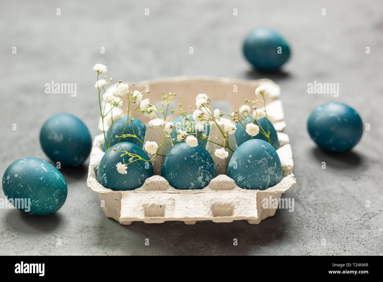 Composition de Pâques - oeufs bleus teints avec des feuilles de chou rouge, des fleurs de gitsophila blanches et un récipient à oeufs sur fond texturé gris Banque D'Images