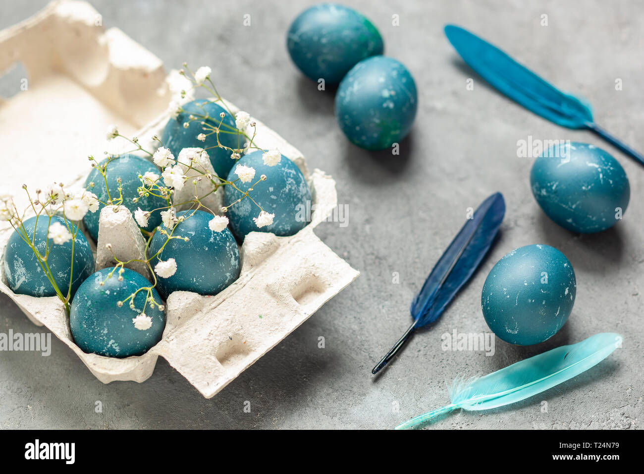 Composition de Pâques - oeufs de Pâques bleus teints avec des feuilles de chou rouge, des fleurs de gitsophila, des plumes bleues et un plateau à œufs sur fond texturé gris Banque D'Images