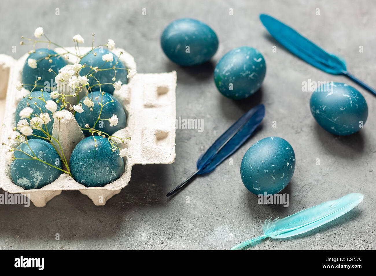 Composition de Pâques - oeufs de Pâques bleus teints avec des feuilles de chou rouge, des fleurs de gitsophila, des plumes bleues et un plateau à œufs sur fond texturé gris Banque D'Images