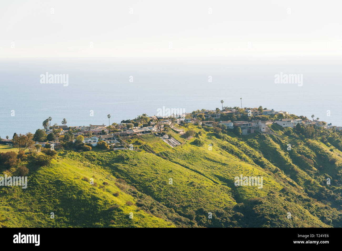 Vue sur les maisons, les collines vertes, et l'océan Pacifique à partir du haut du monde, à Laguna Beach, Californie Banque D'Images