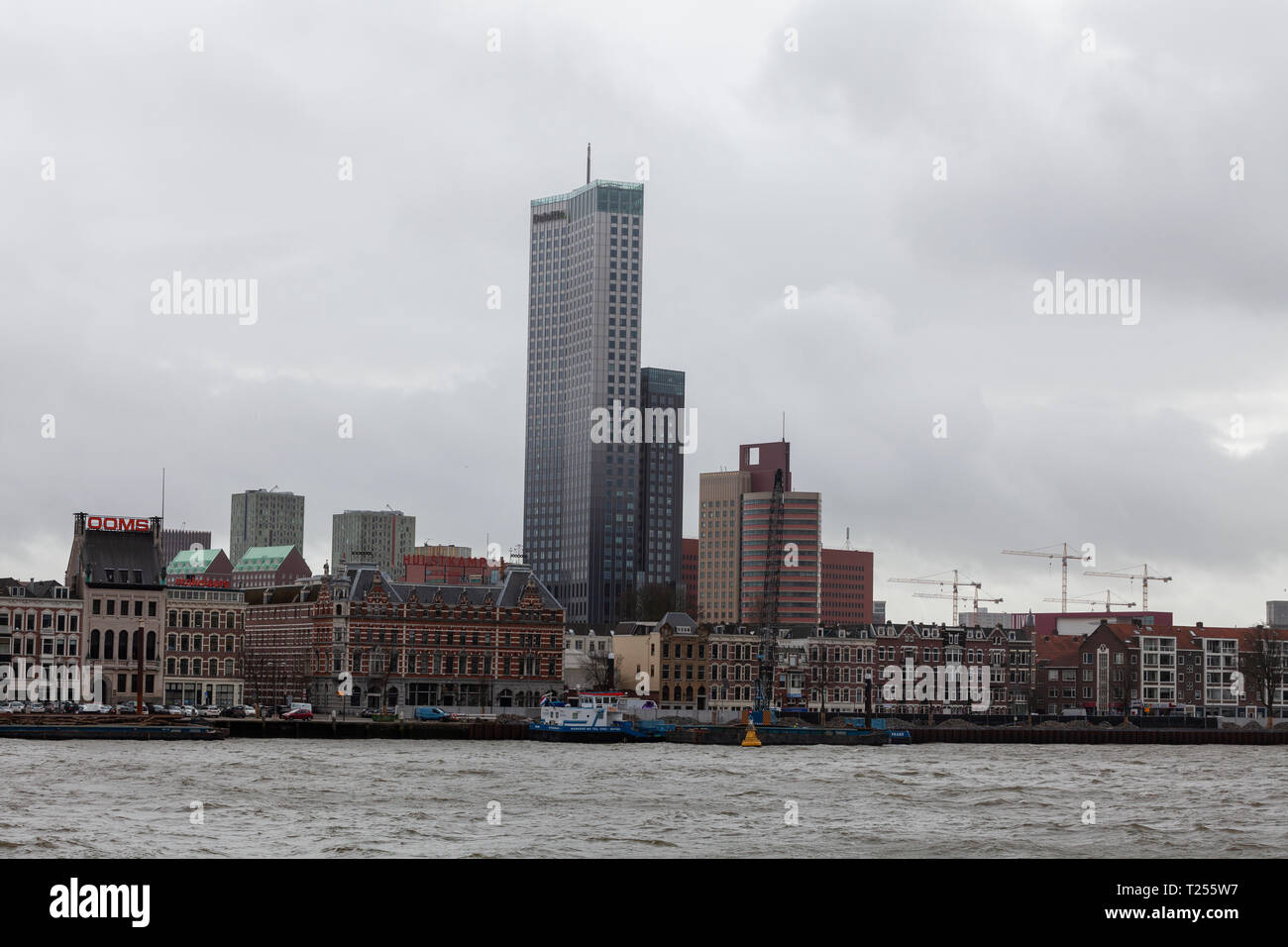 Nethrlands,gratte-ciel à Rotterdam Banque D'Images