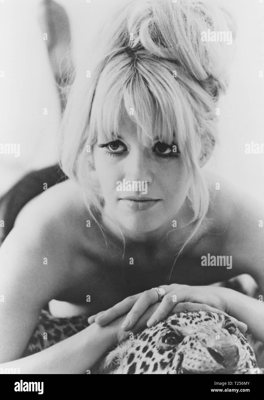 Vache pauvres (1967) Carol White, Date : 1967 Banque D'Images