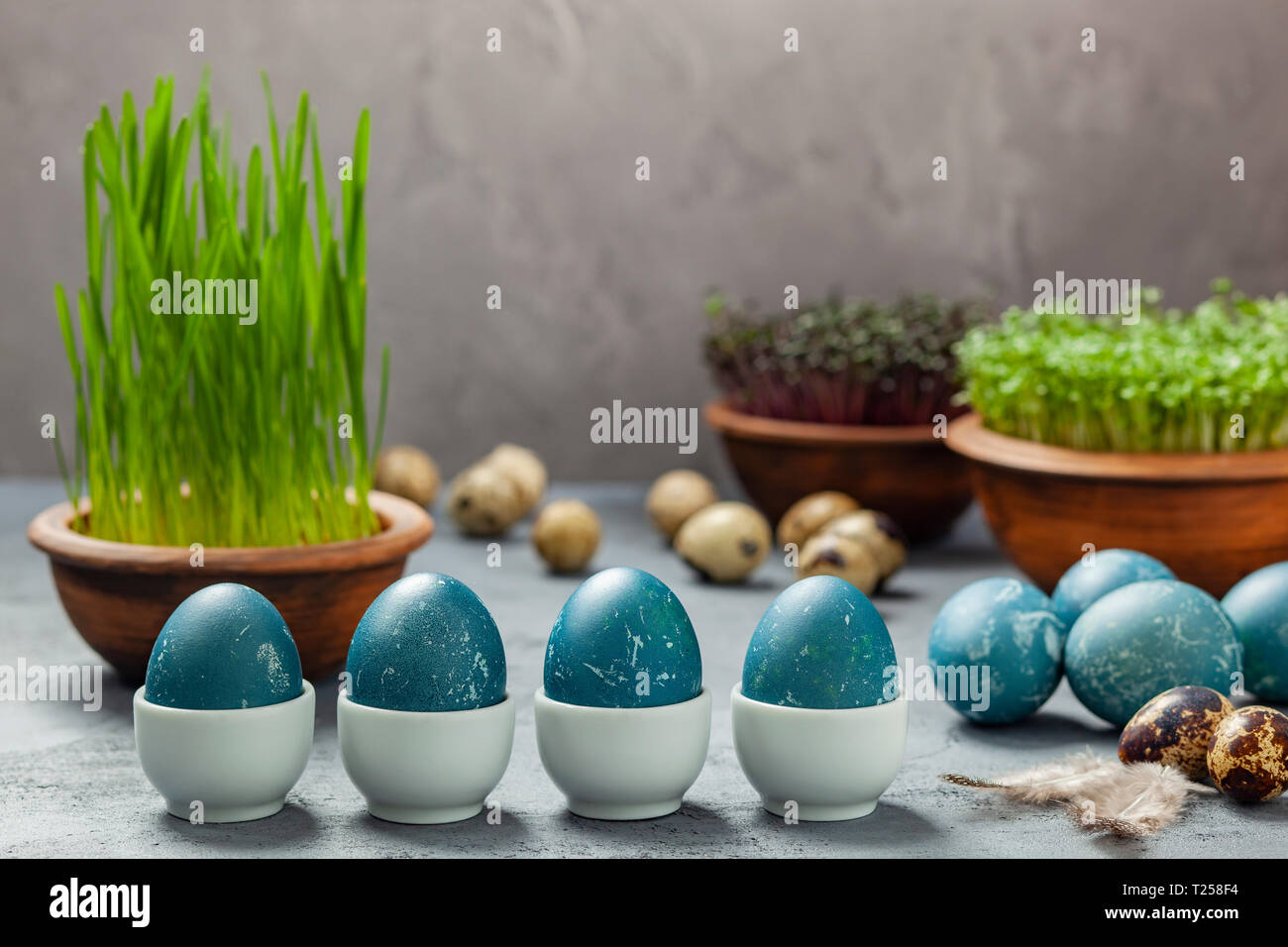 Composition de Pâques - oeufs teints en bleu dans un chou rouge, œufs de caille, Pâques de l'avoine, du cresson et chou rouge Banque D'Images