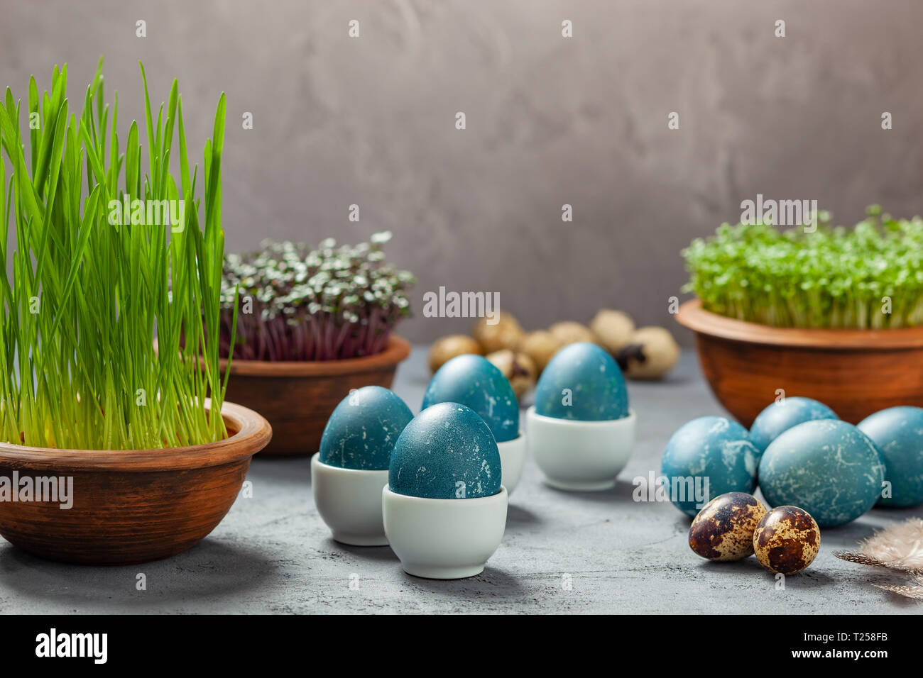 Composition de Pâques - oeufs teints en bleu dans un chou rouge, œufs de caille, Pâques de l'avoine, du cresson et chou rouge Banque D'Images