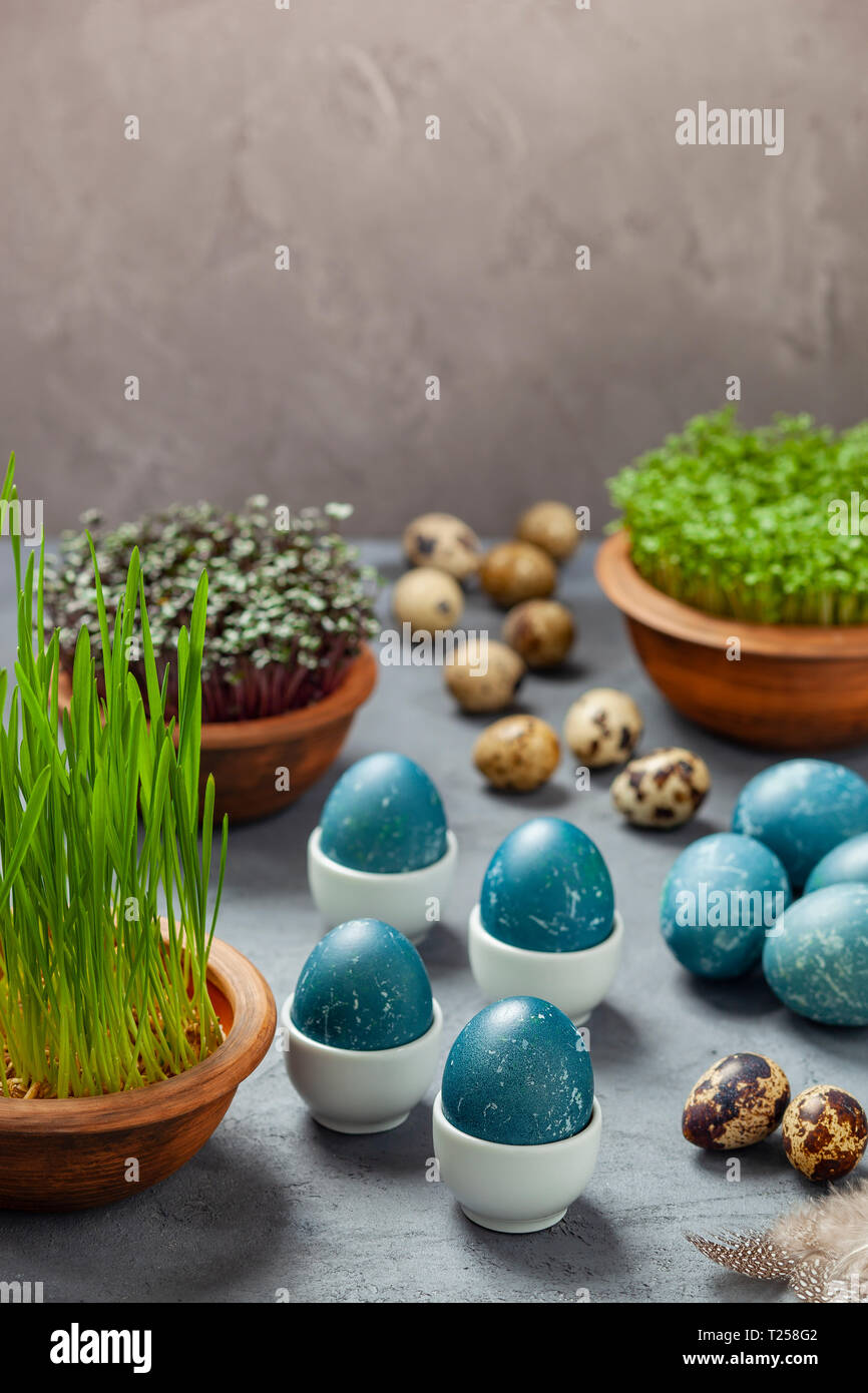 Composition de Pâques - oeufs teints en bleu dans un chou rouge, œufs de caille, Pâques de l'avoine, du cresson et chou rouge Banque D'Images