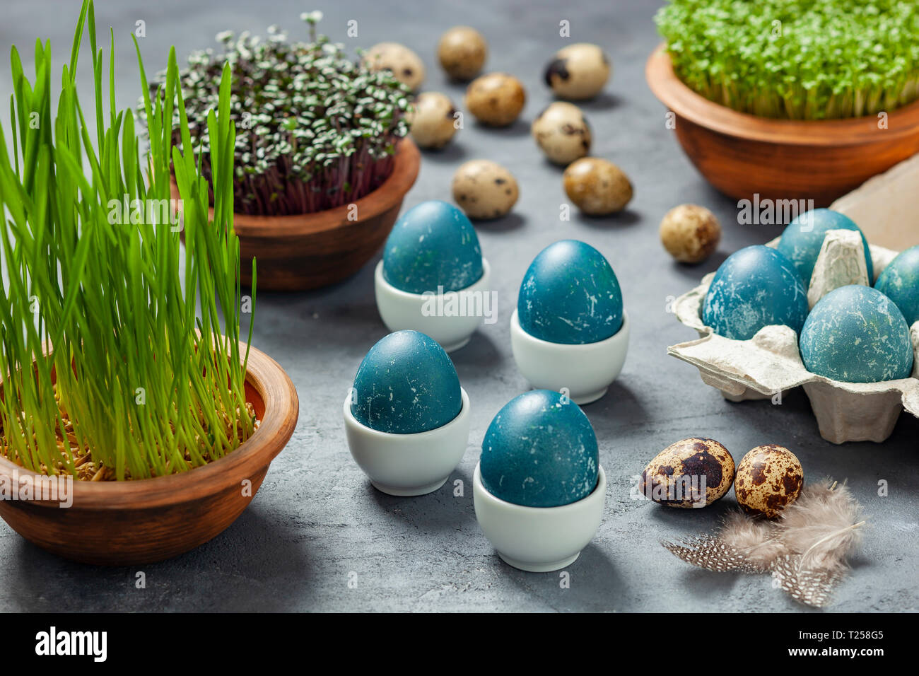 Composition de Pâques - oeufs teints en bleu dans un chou rouge, œufs de caille, Pâques de l'avoine, du cresson et chou rouge Banque D'Images