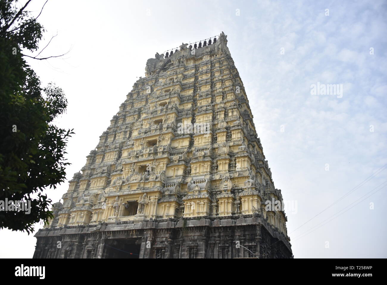 Temple Ekambareswarar, Kanchipuram, Tamil Nadu, Inde Banque D'Images
