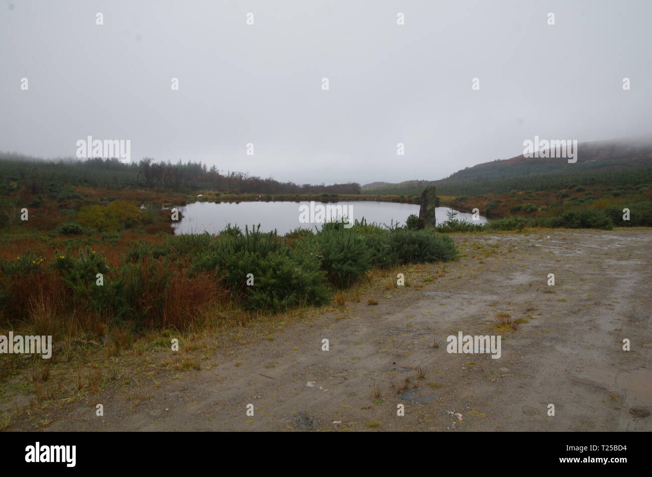 Asgog le loch. Le Loch Lomond et Cowal façon. La péninsule de Cowal. Highlands. L'Écosse. UK Banque D'Images