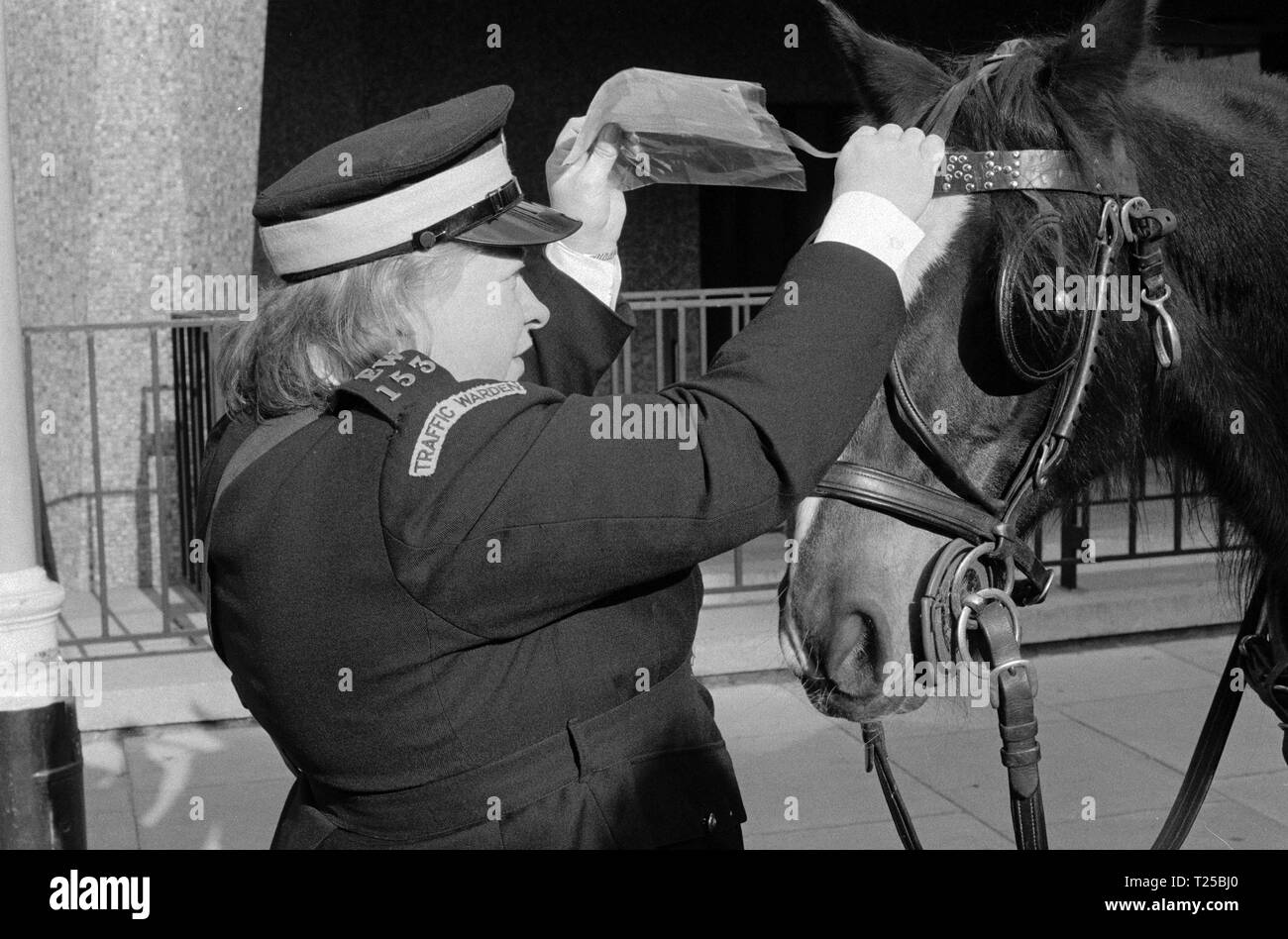 Steptoe &AMP ; Fils (1971) Enys Fort, Steptoe &AMP ; Fils (1971), boîte de Enys Date : 1971 Banque D'Images