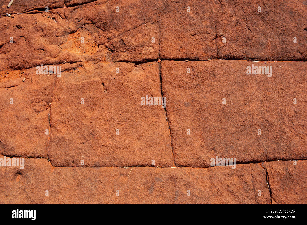 Palm Valley, Territoire du Nord, Australie Banque D'Images