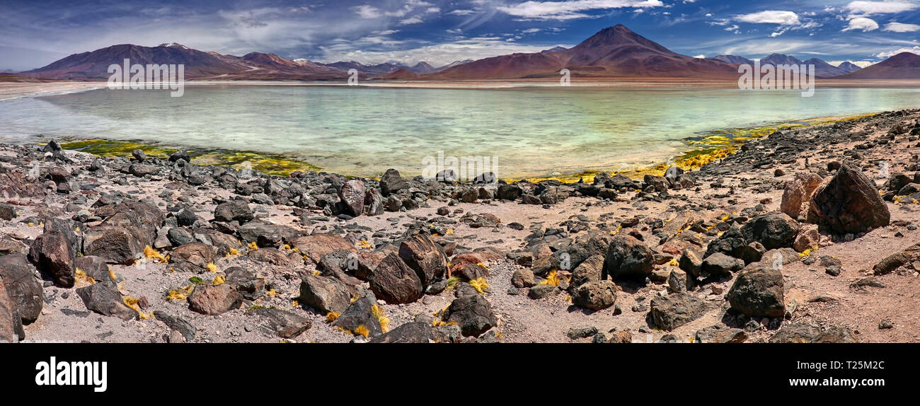 La Laguna Blanca au désert Siloli (Bolivie) - HDR - Panorama Banque D'Images