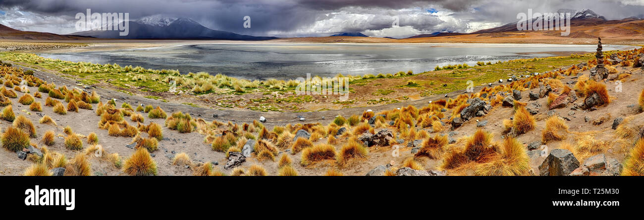 Laguna Canapana (Bolivie) Banque D'Images