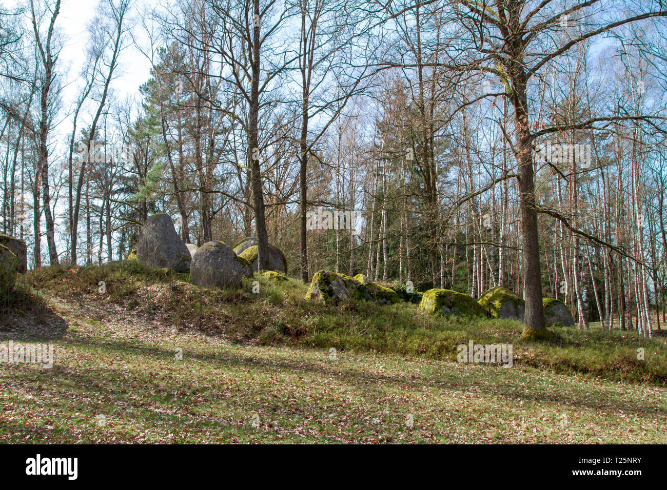 - Steinformationen Blockheide, Waldviertel, Autriche - 30.03.2019 Banque D'Images