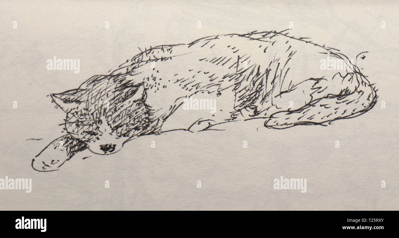 Dessin d'un chat couchage Banque D'Images