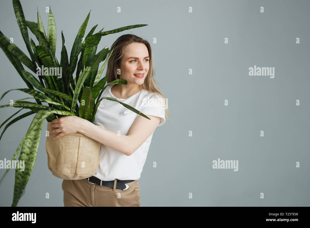 Belle jeune femme holding potted plant Sansevieria and smiling at camera isolé sur fond gris. Banque D'Images