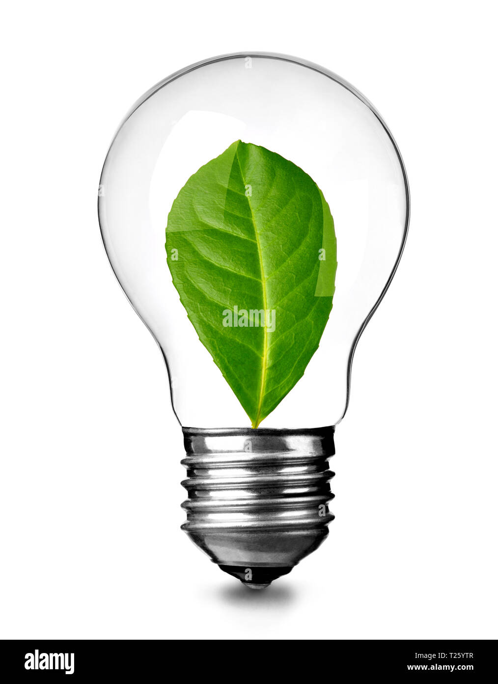 Close up d'une ampoule avec congé vert sur fond blanc, concept de durabilité Banque D'Images