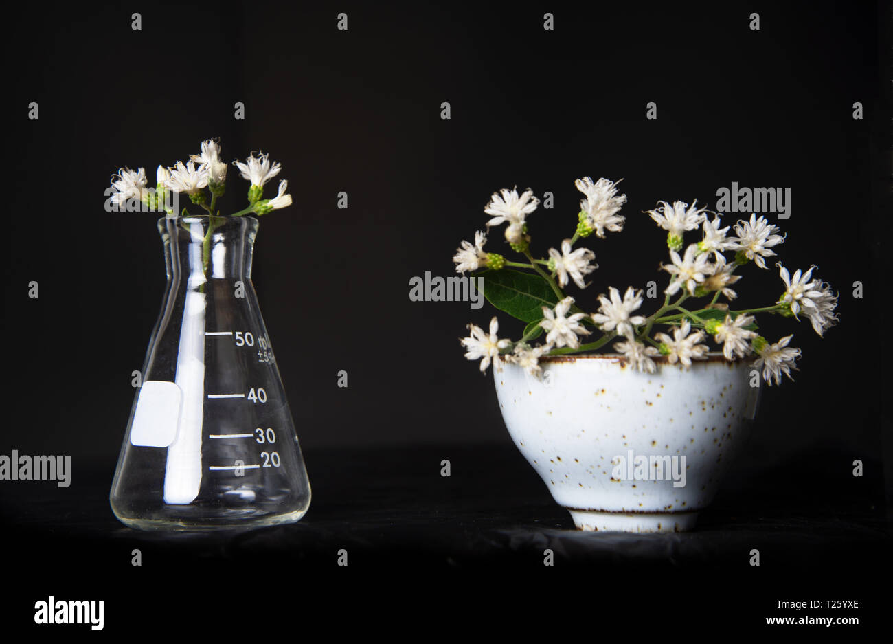 La science avec un flacon de verre avec fleur tasse en céramique dans vintsge encore rococo style de vie sur fond noir Banque D'Images