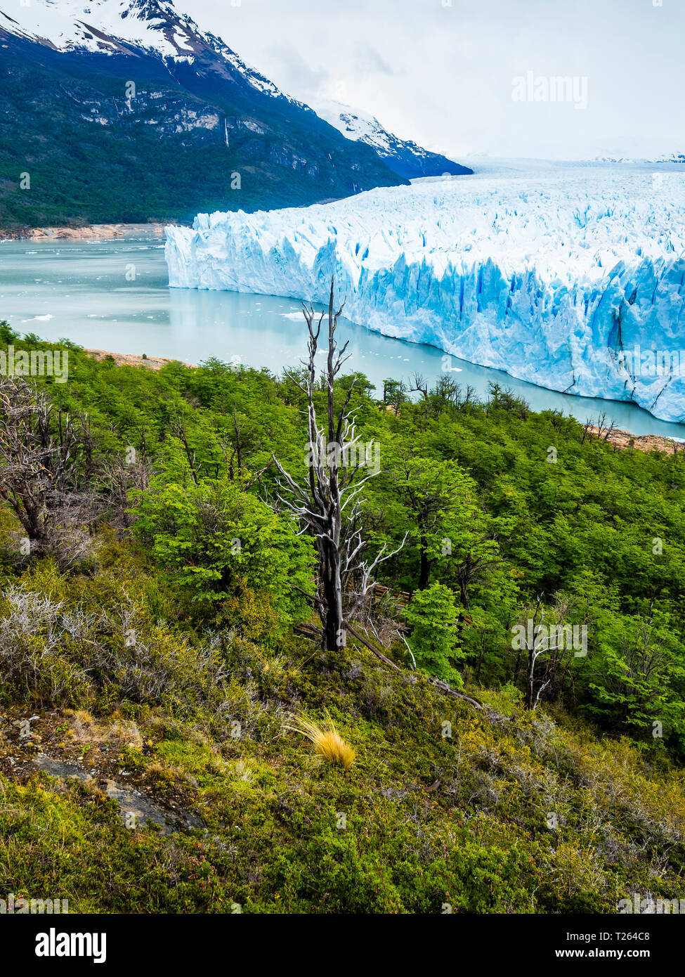L'Argentine, El Calafate, Patagonie, Perito Moreno Glacier Banque D'Images