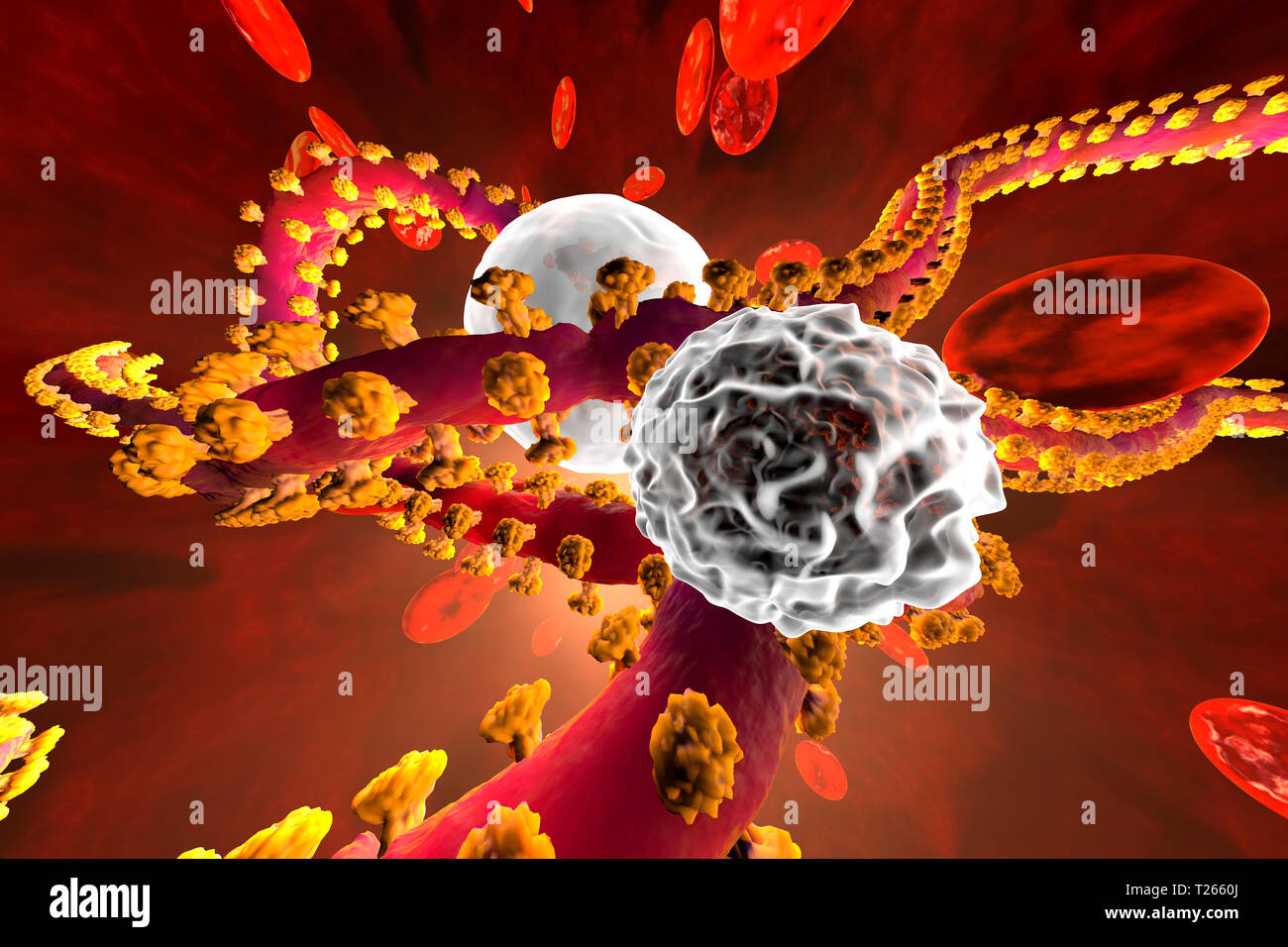 Rendu 3D Illustration d'une lutte contre le virus Ebola avec cellules de défense des leucocytes dans le sang entouré par des cellules érythrocytaires Banque D'Images
