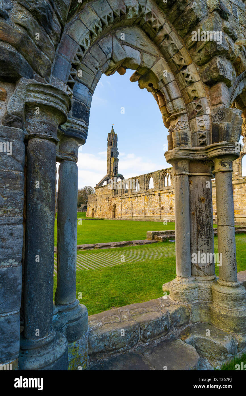Vue des ruines de la cathédrale de St Andrews St Andrews, Fife, Scotland, UK Banque D'Images