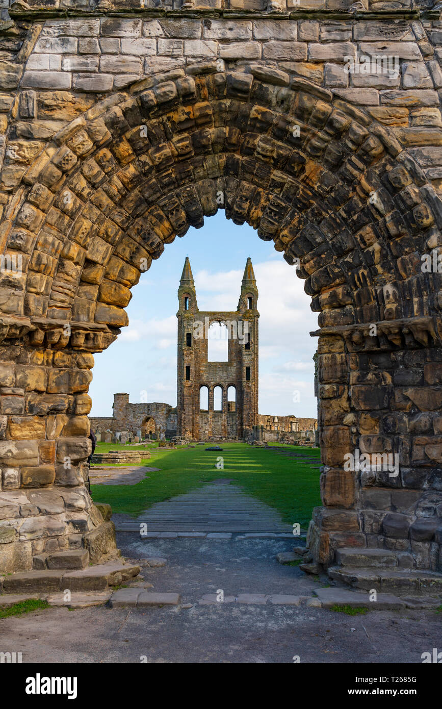 Vue des ruines de la cathédrale de St Andrews St Andrews, Fife, Scotland, UK Banque D'Images