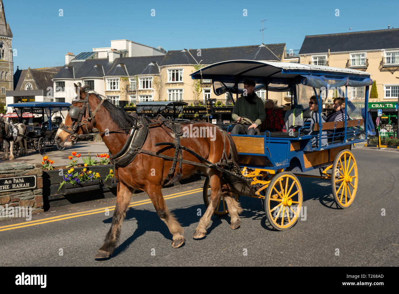 L'activité touristique populaire de Killarney en calèche ou en voiture jaunting de touristes dans les rues sur journée ensoleillée à Killarney Irlande Banque D'Images