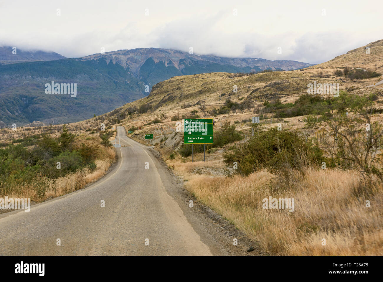 La nature de la route Carretera Austral en Patagonie, d'Aysen, Chili Banque D'Images