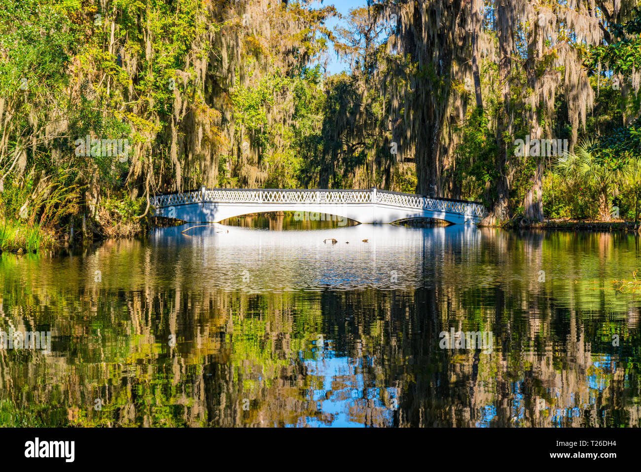 Reflet de pont blanc au-dessus d'un lac dans la région de Magnolia Plantation à Charleston, Caroline du Sud Banque D'Images