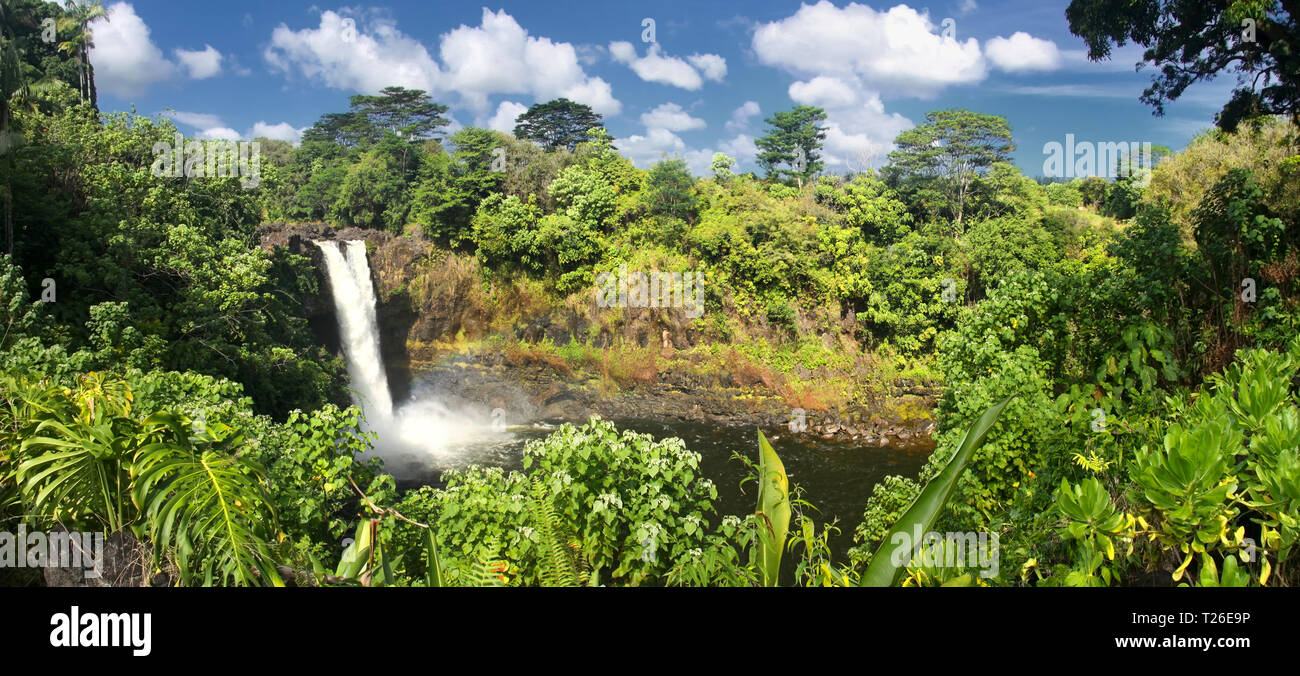 Rainbow Falls (Big Island, Hawaii) - Vue panoramique Banque D'Images