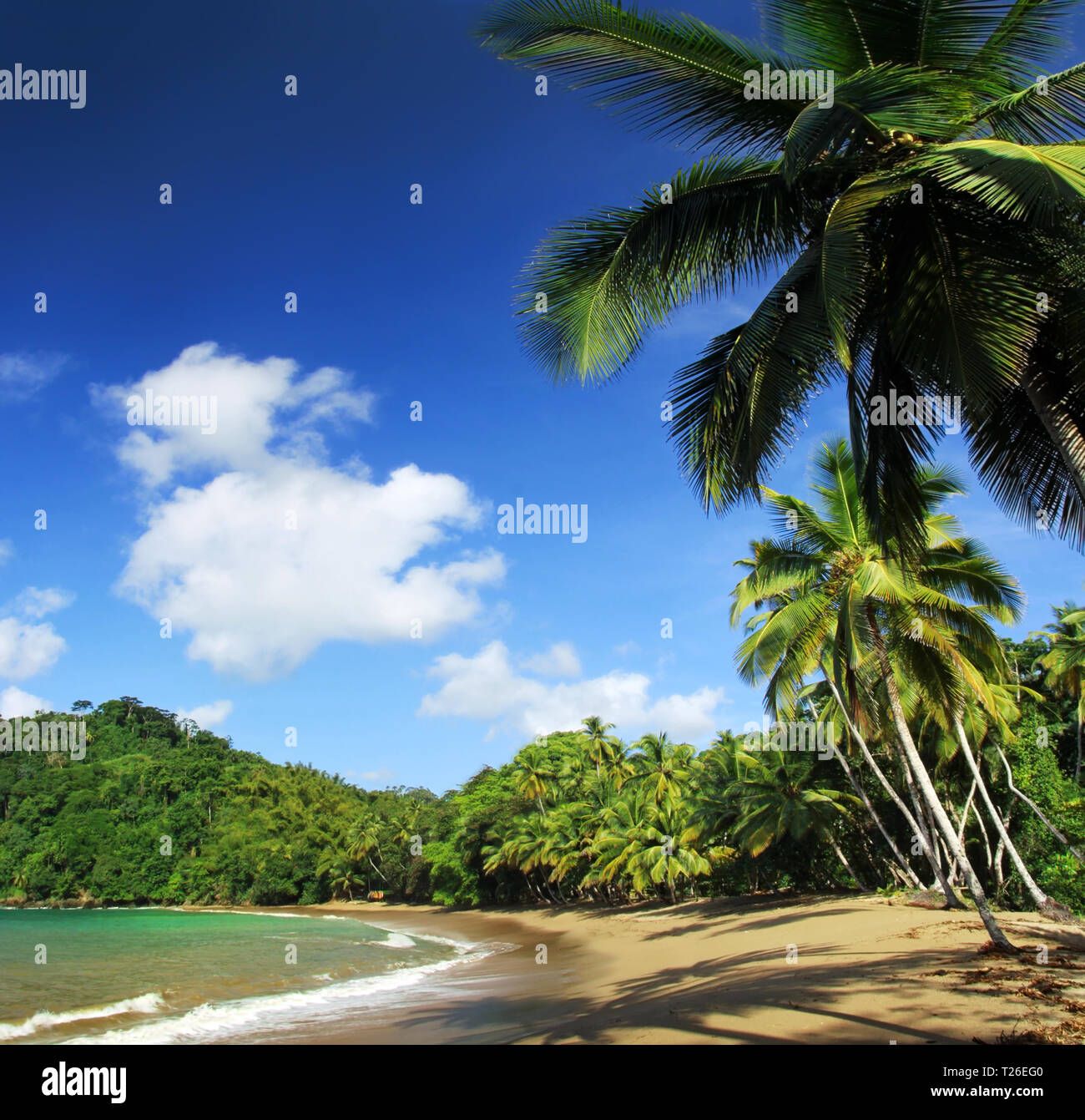 Plage des Caraïbes à 'Englishmans Bay' près de Castara, Tobago Banque D'Images