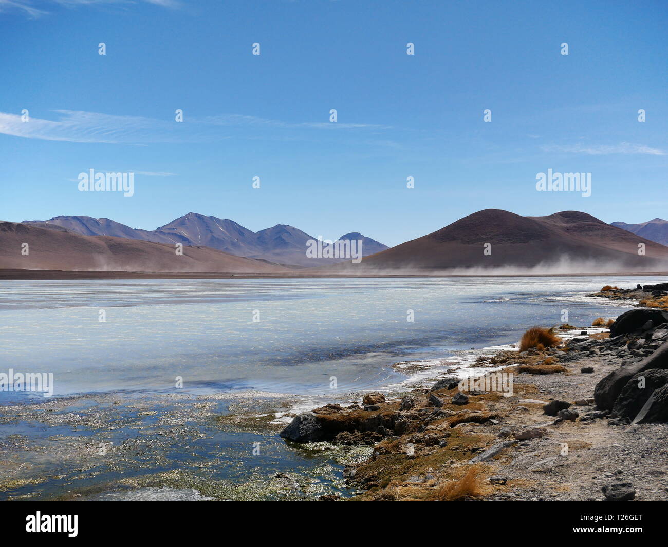 White lagoon sur l'altiplano andin de la Bolivie, de l'Amérique du Sud Banque D'Images