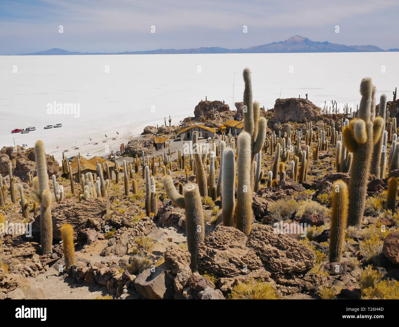 L'incroyable de sel de Salar de Uyuni, sur l'altiplano andin de la Bolivie, de l'Amérique du Sud, vus de l'Isla Incahuasi, une île émergeant de t Banque D'Images